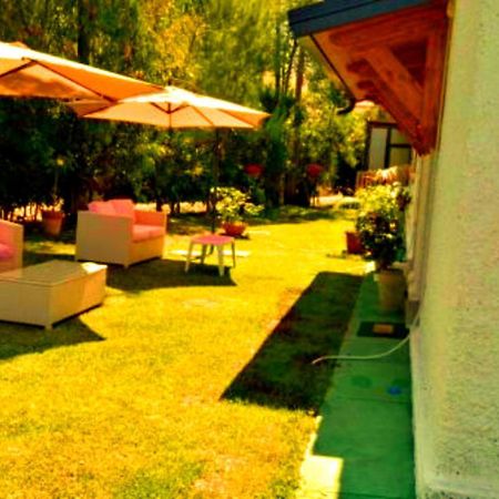 La Corte Delle Rose B&B Praia a Mare Exterior foto