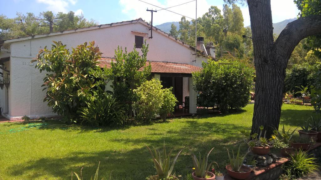 La Corte Delle Rose B&B Praia a Mare Exterior foto